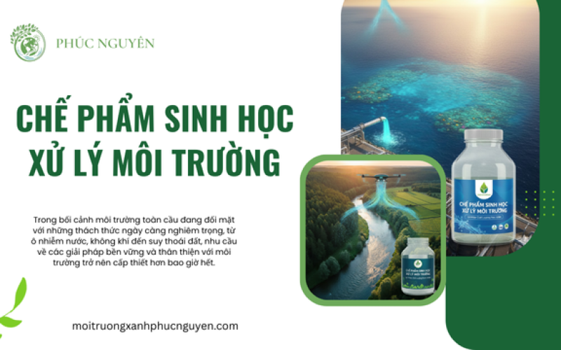 Chế Phẩm Sinh Học Xử Lý Môi Trường
